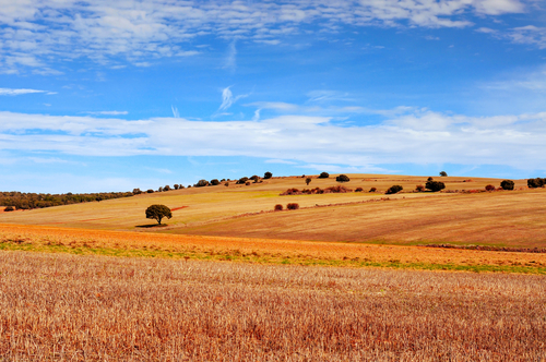 Paisaje de Soria