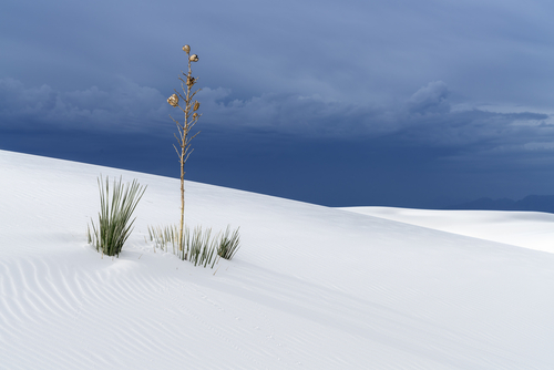 White Sands