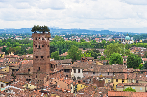 Torre Guinigi en Lucca