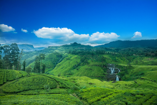 Un fascinante recorrido por Sri Lanka