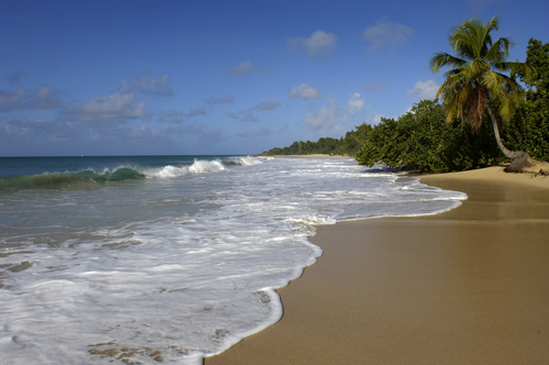 Playa les Salines en Martinica