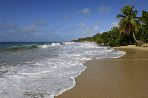 Playa les Salines en Martinica