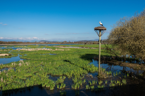 Parque Salburua en Vitoria-Gasteiz