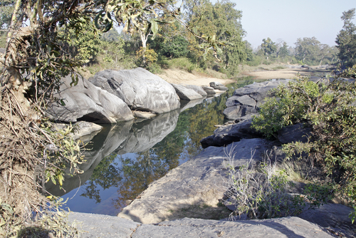 Parque Nacional Kanha en India