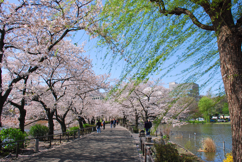 Ueno Park en Tokio