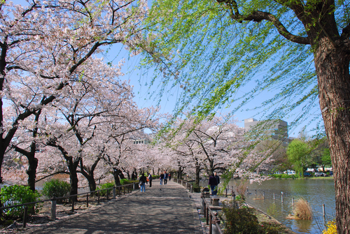 Ueno Park, uno de los parques más bonitos de Tokio