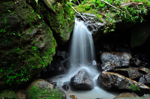 El Yunke en Puerto Rico