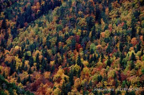 La Pardina del Señor