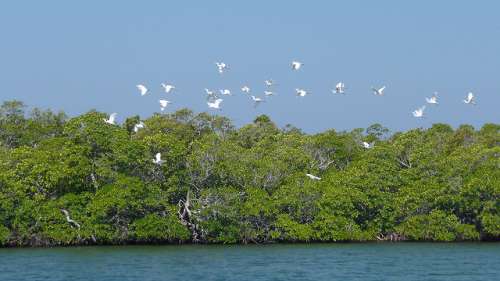 Isla Juventud