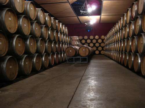 Bodega en el valle de Colchagua