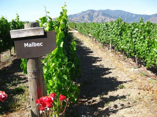 Valle de Colchagua en Chile