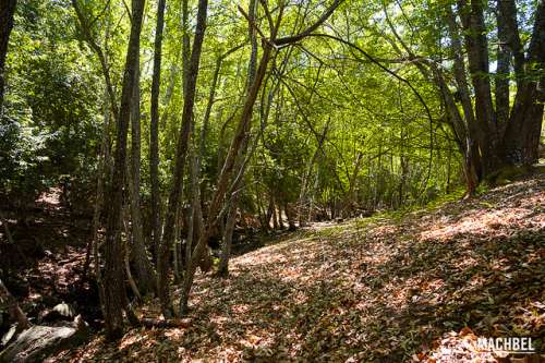 Geoparque Villuercas