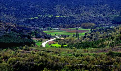 Vega del Tajuña en Marid