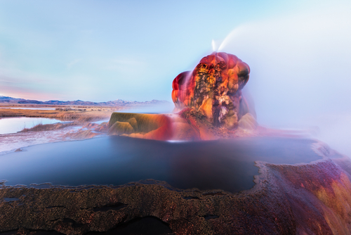 Geyser Fly