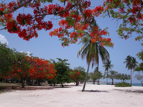 Playa Ancon en Trinidad