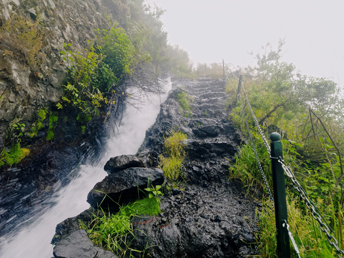 Nacientes de Marcos y Cordero