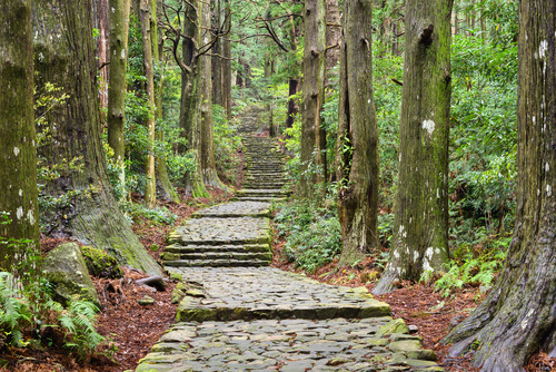 Camino Kumano en Japón