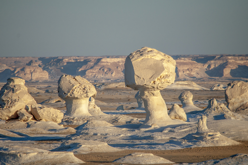 Desierto Blanco