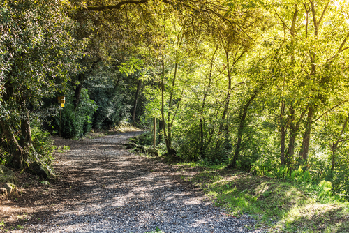 La Garrotxa - funkyfrogstock