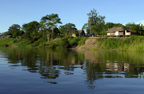 Amazonas