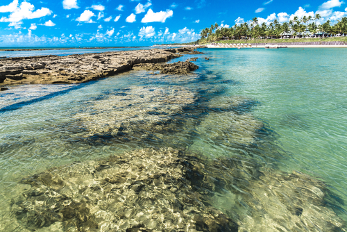 Porto de Galinhas en Recife