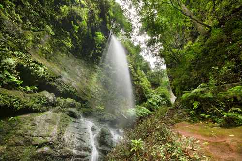 La ruta de los Nacientes de Marcos y Cordero en La Palma