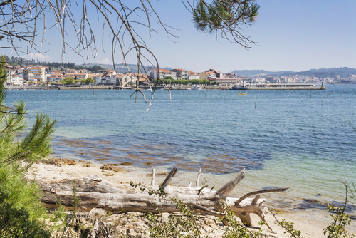Isla de Cortegada en Galicia