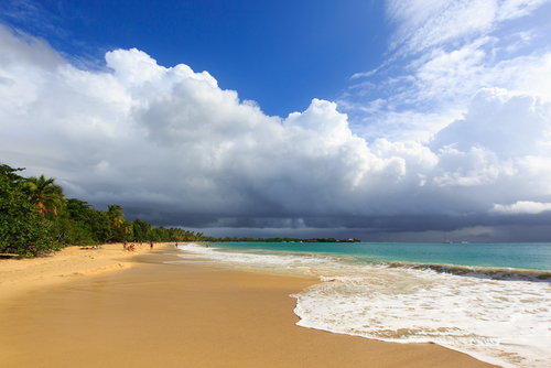 La isla de Martinica, un paraíso caribeño