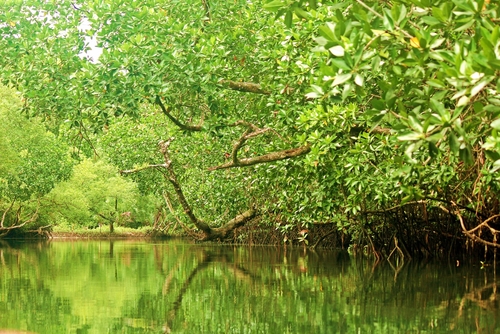 Isla de Malaita