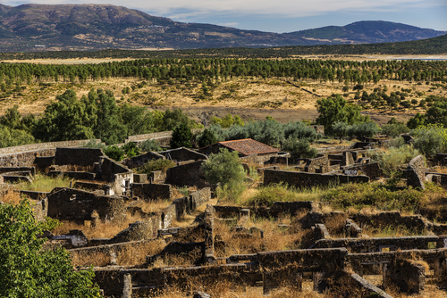 Granadilla