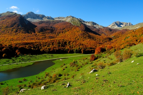 Parque Nacional Abruzzo en Molise