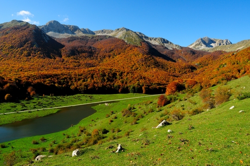 Parque Nacional Abruzzo en Molise 