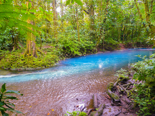 Río Celeste en el Parque Nacional Volcán Tenorio