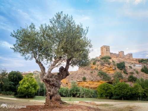 Alcalá de Guadaíra en Sevilla