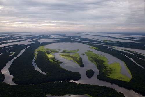 Islas Anavilhanas