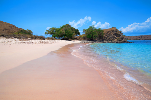 Isla Komodo en Indonesia