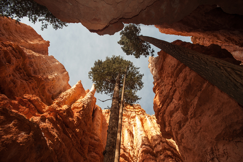 Cañón Bryce en Estados Unidos