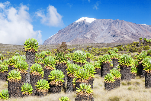 Monte Kilimanjaro