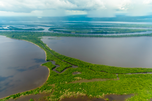 El archipiélago de Anavilhanas, un lugar mágico en el Amazonas