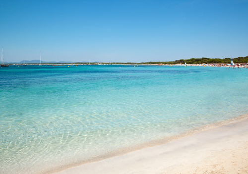 Playa es Trenc en Mallorca
