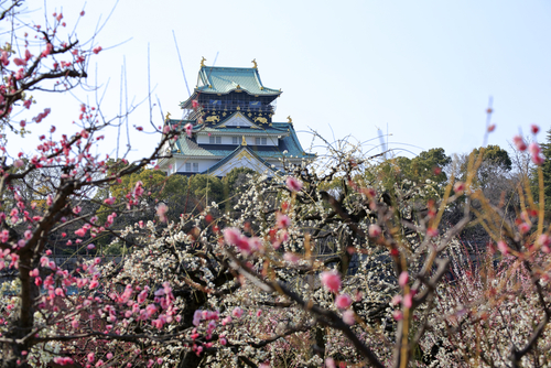 Castillo de Osaka
