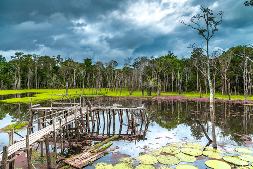 El Pantanal en Brasil, un rincón espectacular