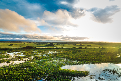 Pantanal en Brasil