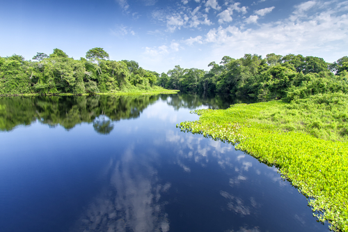 Pantanal en Brasil