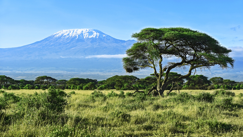 El Kilimanjaro, la cima de África