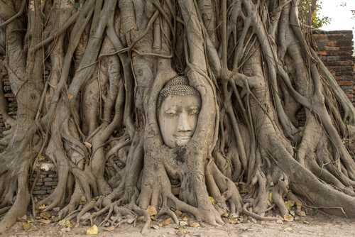 Templo en Ayutthaya