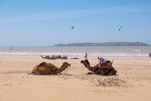 Playa de Essaouira
