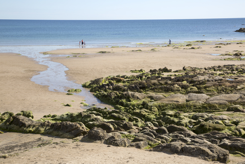 Playa de St. Andrews