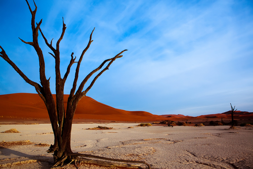 Dead Vlei en Namibia, un paisaje fantasmagórico