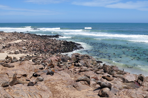 Cabo Cross en Namibia